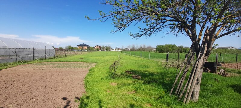 Cernica, sat Tanganu, casa + teren 2.300 mp,